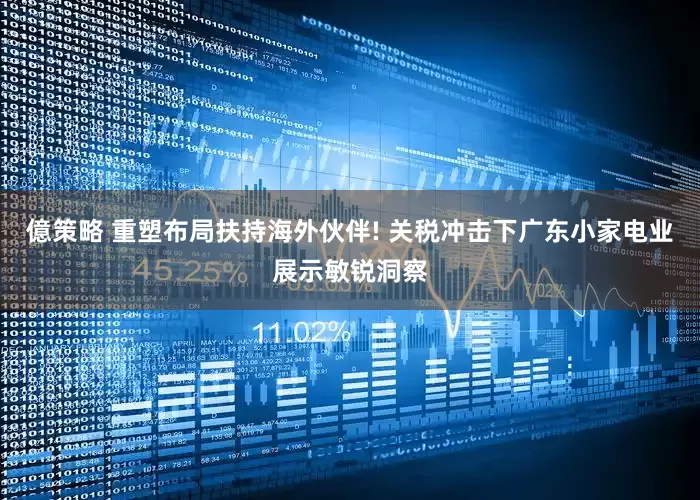 億策略 重塑布局扶持海外伙伴! 关税冲击下广东小家电业展示敏锐洞察