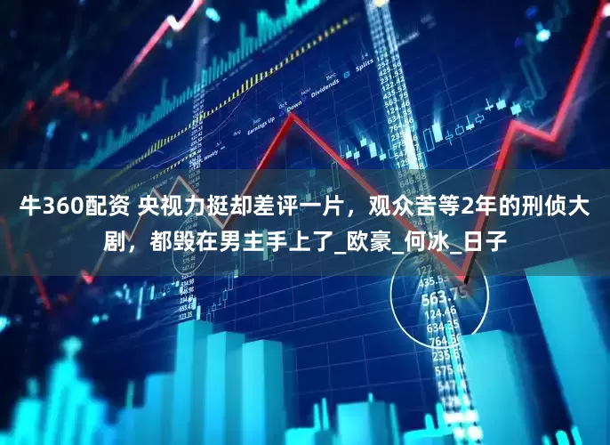 牛360配资 央视力挺却差评一片，观众苦等2年的刑侦大剧，都毁在男主手上了_欧豪_何冰_日子