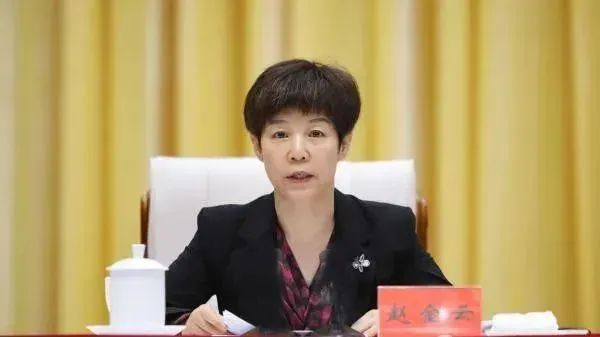 启点优配 涉两罪！“女老虎”赵金云被公诉_大皖新闻 | 安徽网