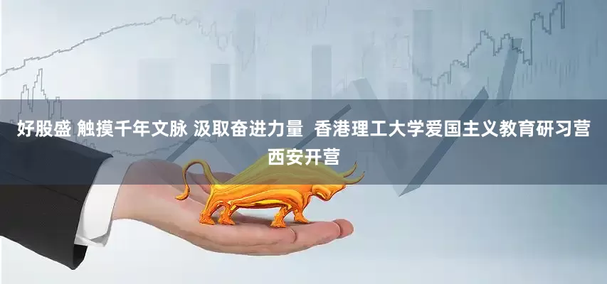 好股盛 触摸千年文脉 汲取奋进力量  香港理工大学爱国主义教育研习营西安开营